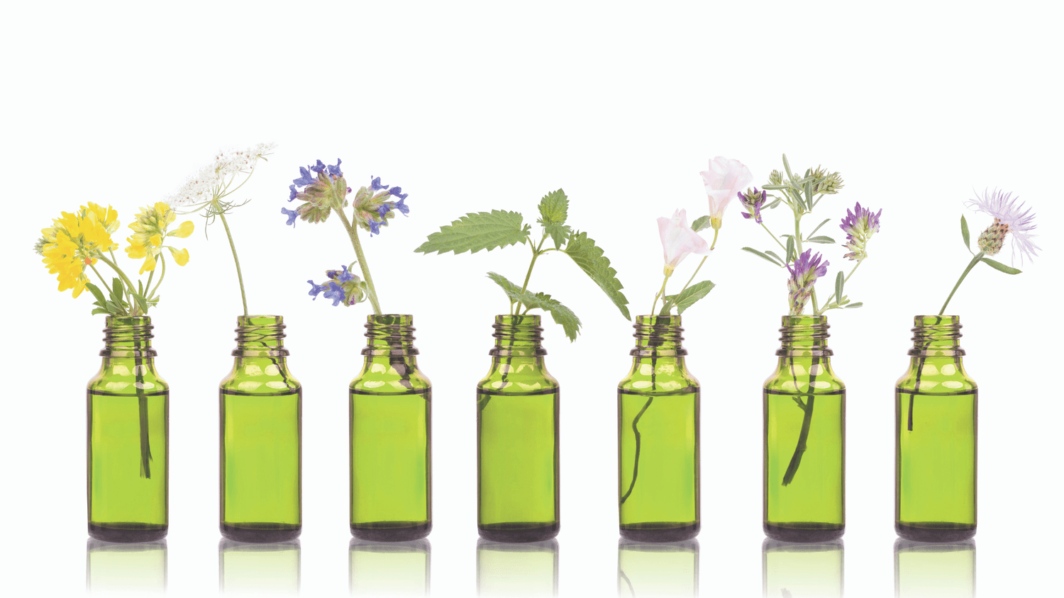 Homeopathic Remedies for Allergies in Canada - Core Healing Path, Homeopath