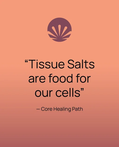 Tissue Salts are food for our cells - Core Healing Path