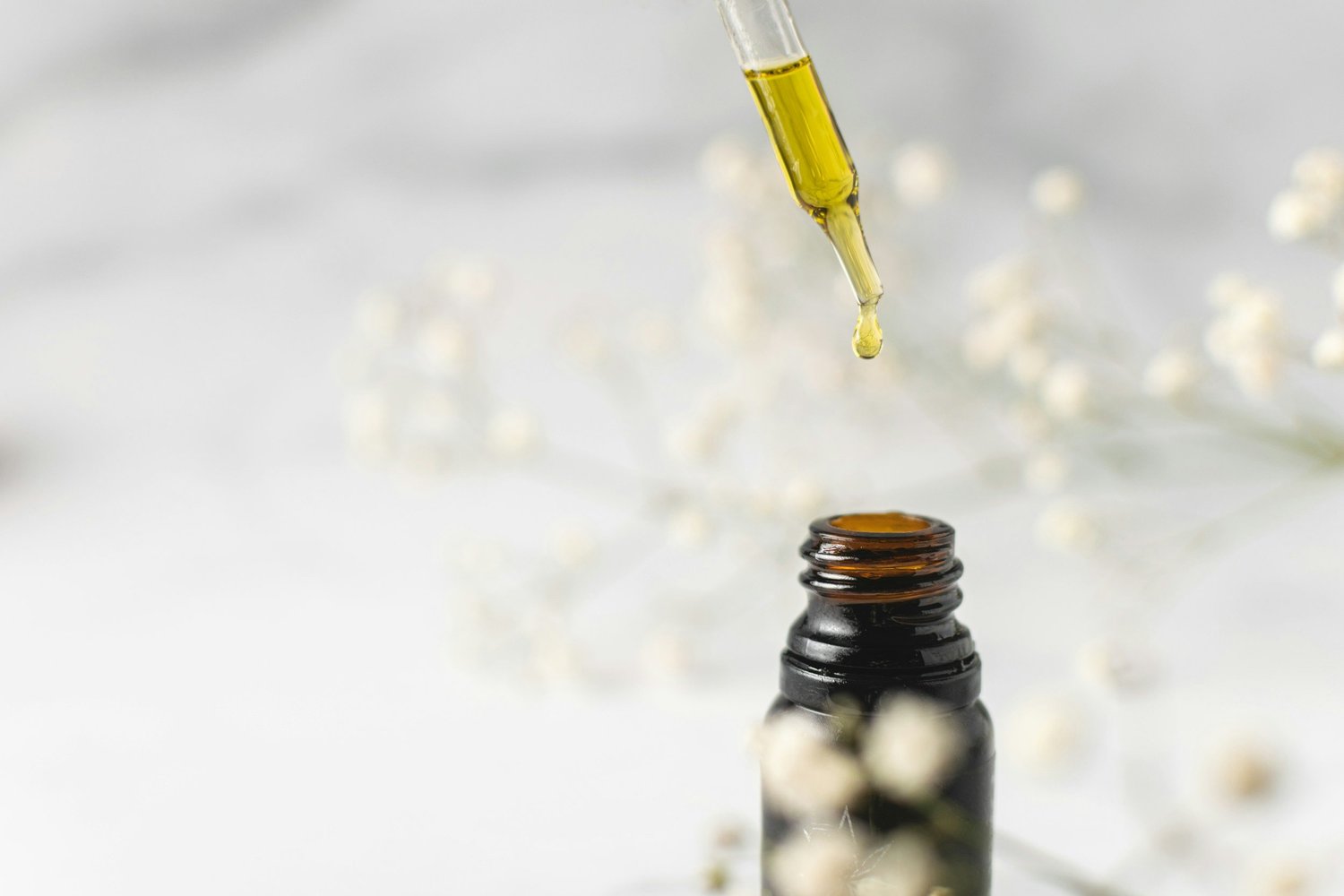 What Is Lycopodium Remedy in Homeopathy - Core Healing Path