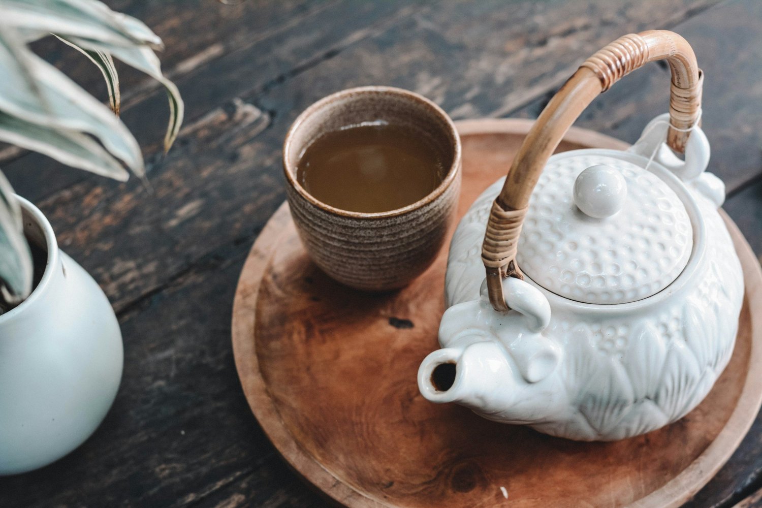 What Is Dulcamara Remedy in Homeopathy?