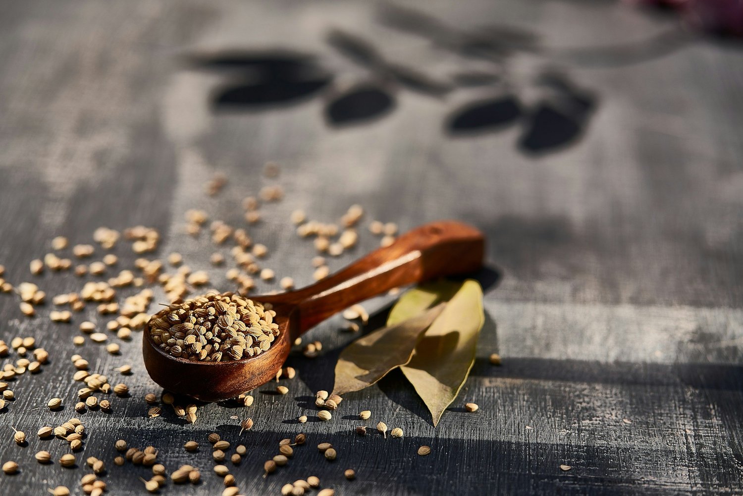 What Is Ipecacuanha Remedy in Homeopathy?