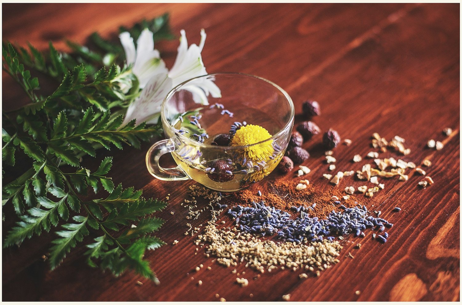 good food for your body - metabolic balance diet