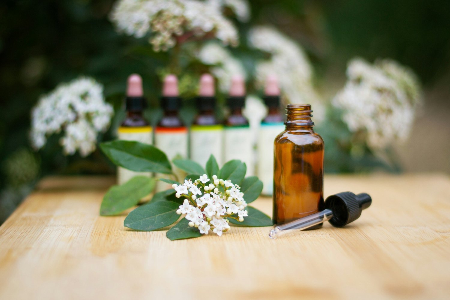 What Is Ignatia Remedy in Homeopathy?