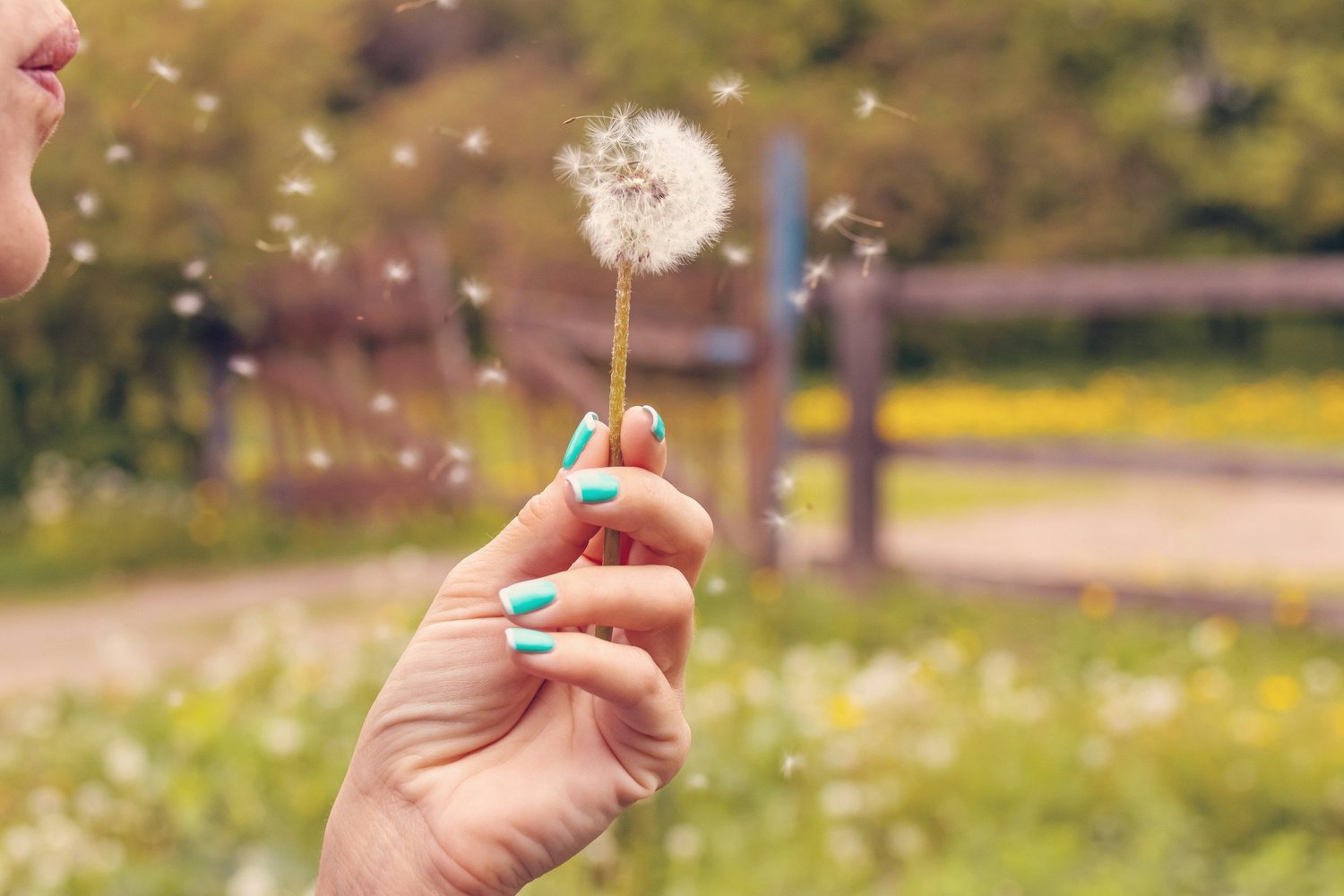 Pollen Allergies: Causes, Symptoms, and Natural Homeopathic Relief